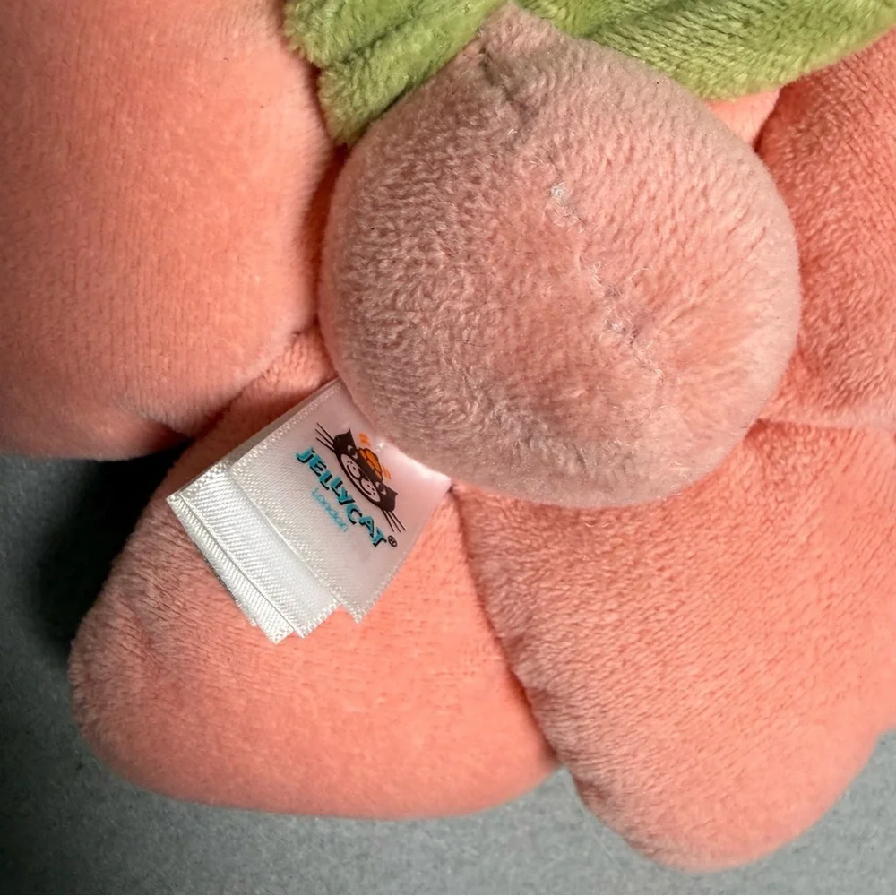 Jellycat Fleury Petunia Soother Lovey Security Blanket - Retired Pink Green Rare